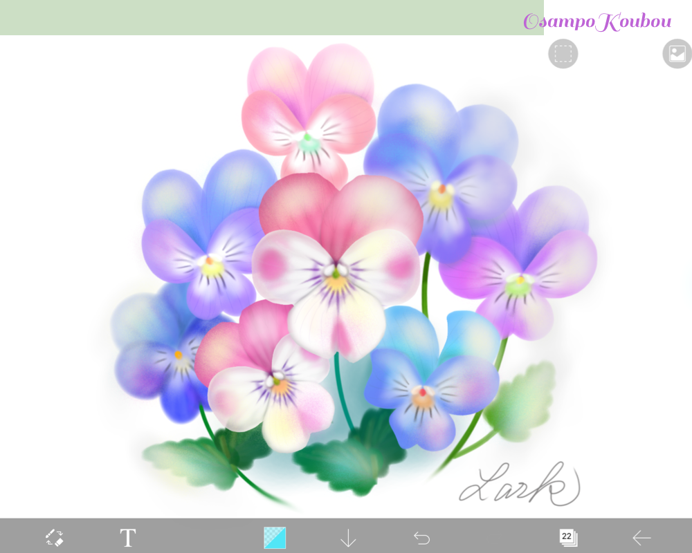 Ibis Paint が楽しくなって来ました ビオラの絵 Pc Flower Art おさんぽ工房