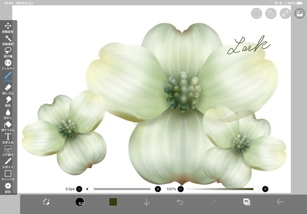 楽しいお絵描きのリモートレッスン 新しい作業台です Ipadでお花のお絵描き Pc Flower Art おさんぽ工房